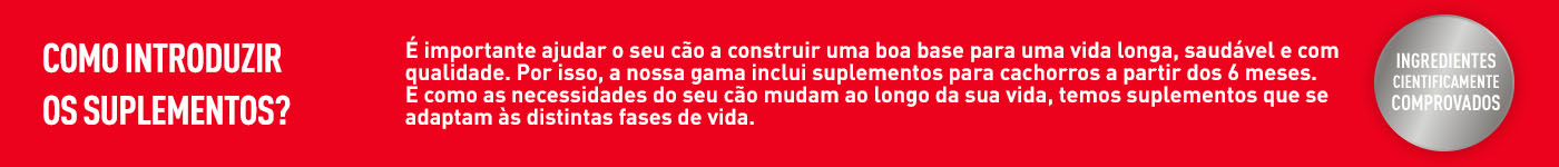 Quando deve incluir suplementos? É importante ajudar o seu cão a ter uma vida mais longa com suplementos adaptados a cada etapa de vida
