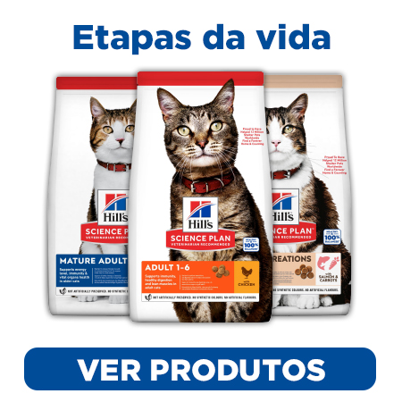 Alimentação adequada de Hill's Science Plan para cada etapa de vida do seu gato