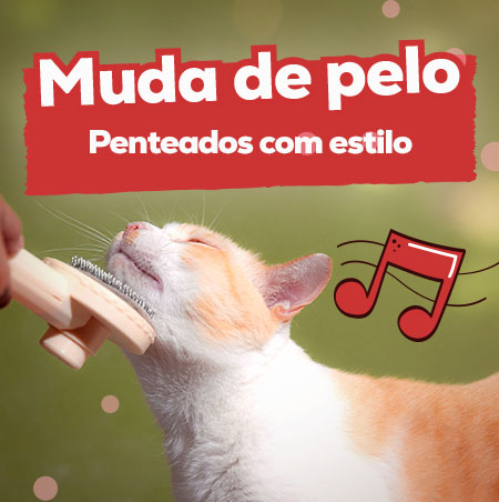 Promoções em produtos para o pelo