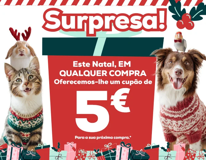 Compre durante o mês de dezembro e oferecemos -5€ para a sua próxima compra