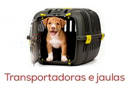 Transportadoras e viagem para idas ao veterinário ou primeiras viagens juntos