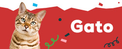 Descubra s marcas mais Animal Lovers para gato