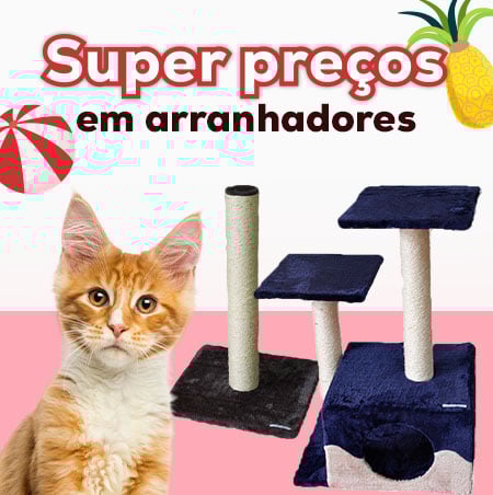 Super preços numa seleção de arranhadores