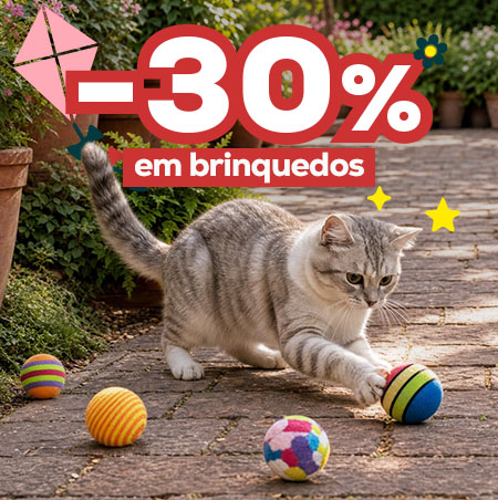 -30% numa seleção de brinquedos