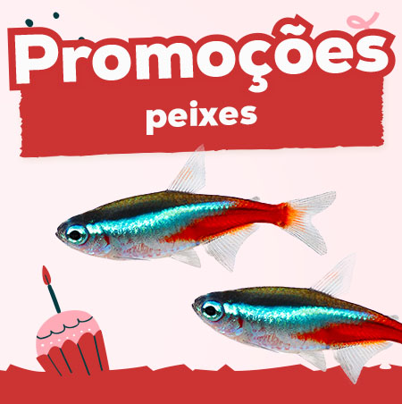 Promoções para peixes