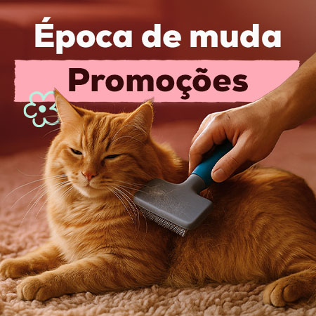 Promoções para a época de muda