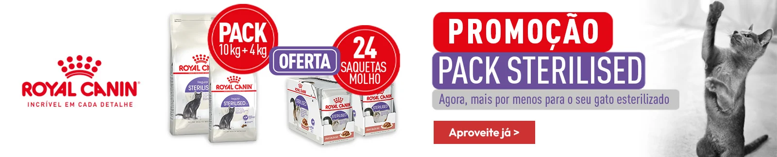 Royal Canin mês do gato: Pack esterilizado