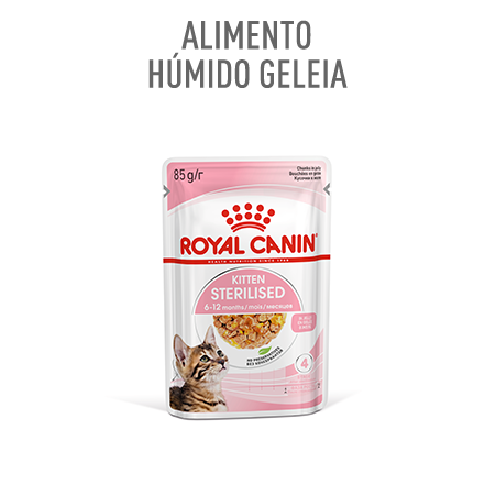 Alimentação húmida em gelatina para gatinho esterilizado: Royal Canin Kitten Sterilised