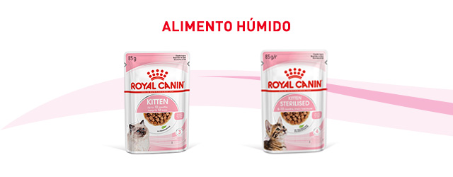 Descubra a alimentação húmida que melhor se adapta ao seu gato junior.