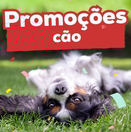 Kiwoko Days: Promoções para cão
