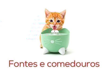 Fontes e comedouros para gatinhos