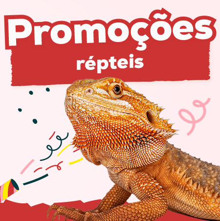 Promoções para répteis
