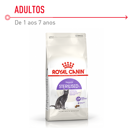 Ração para gatos esterilizados: Royal Canin Regular Sterilised 37