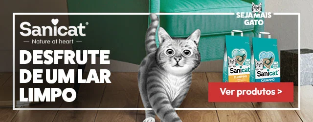 Sanicat: Desfrute de um lar limpo