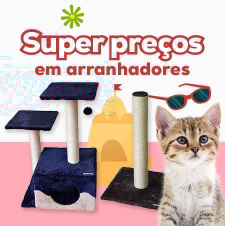 Super preços numa seleção de arranhadores