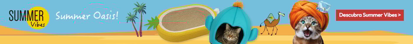 Summer Vibes: Os produtos mais frescos da nova coleção de verão para gato