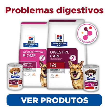 Alimentação para melhorar a digestão e resolver os transtornos digestivos do seu cão