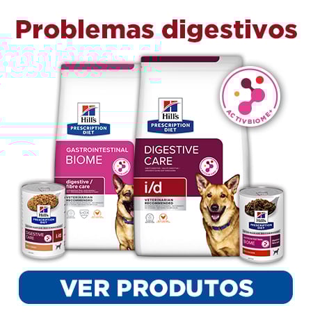 Alimentação para melhorar a digestão e resolver os transtornos digestivos do seu cão