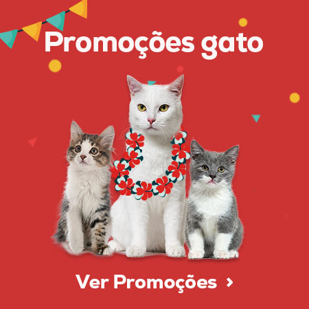 Promoções gato