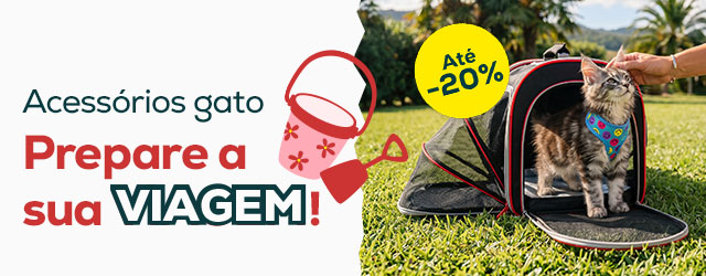 Acessórios para gato: prepare a sua viagem!