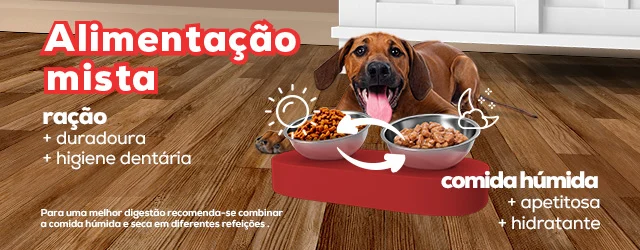 Post Blog Benefícios de alimentação mista para animais