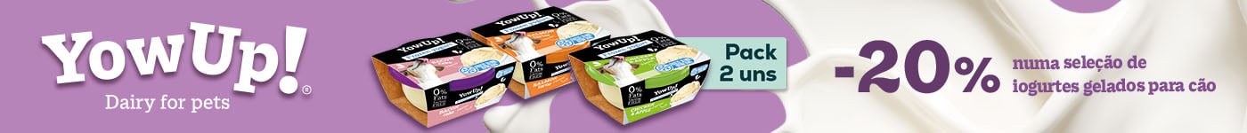 YowUp: -20% numa seleção de packs de gelados para cão 2 un.