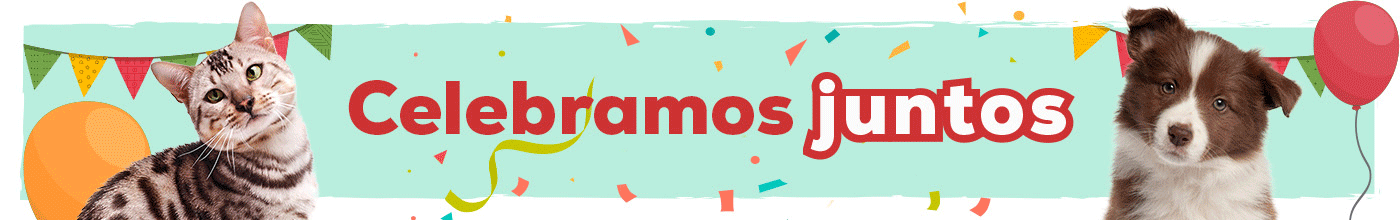 10º Aniversário: Até -50% numa seleção de acessórios