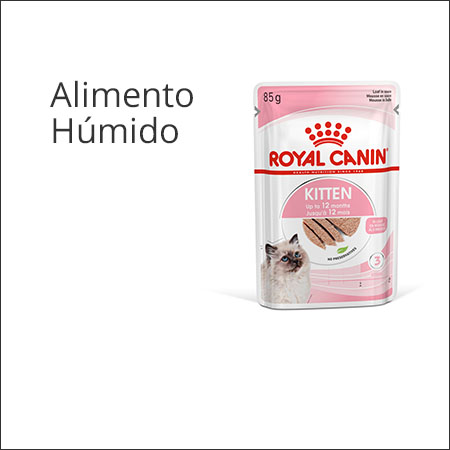 Royal Canin Kitten patê em saqueta