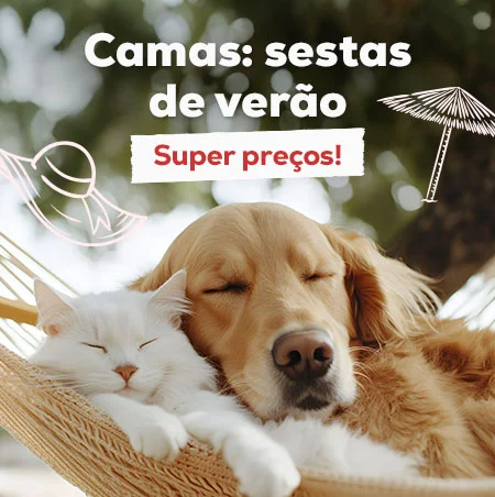 Sestas de verão: Super preços numa seleção de camas
