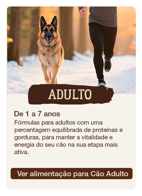 True Origins para cães adultos. Dos 1 aos 7 anos