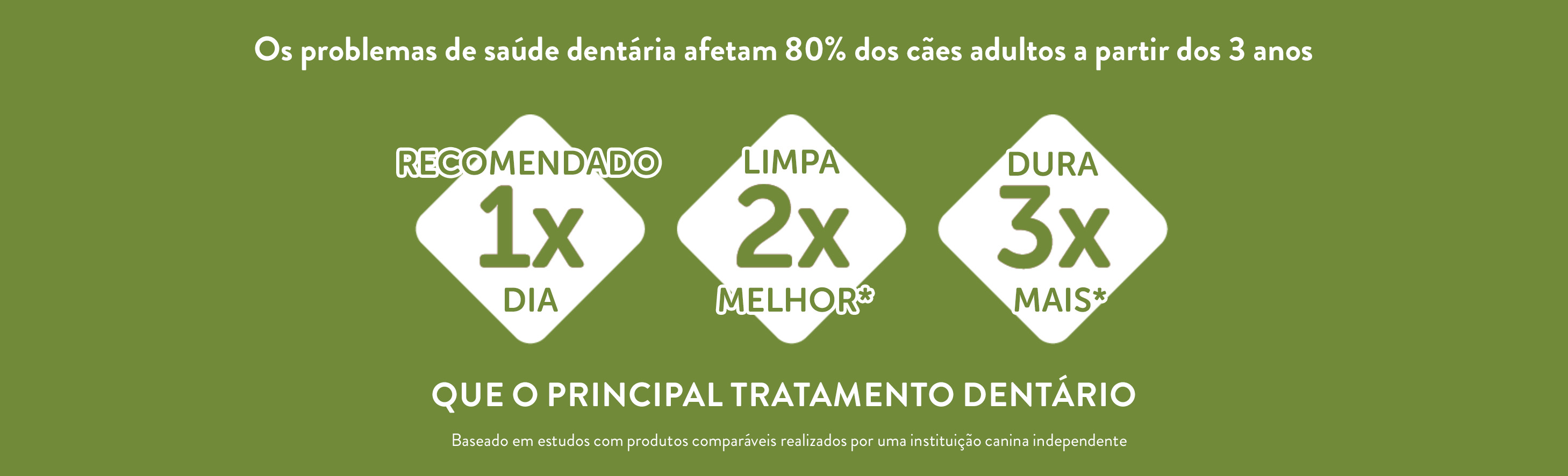 Sabia que os problemas de saúde dentária afetam 80% dos cães adultos?