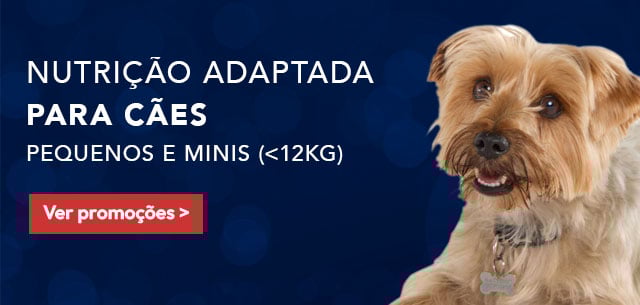 Hill’s: Nutrição adaptada para cães pequenos e mini