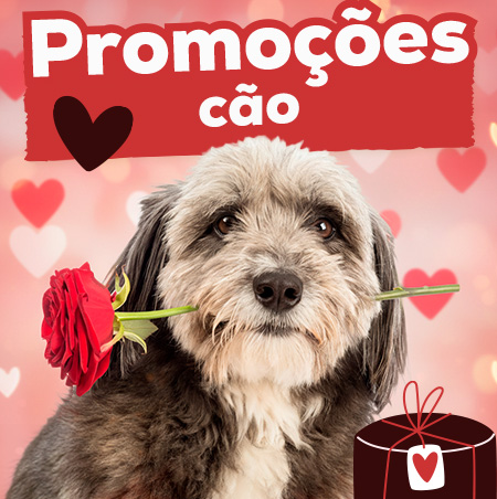 Promoções para cão
