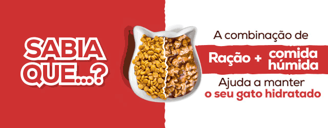 Post Blog Benefícios de alimentação mista para animais