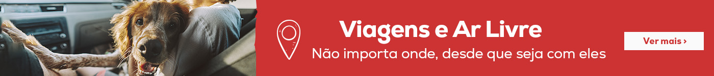 Viajar