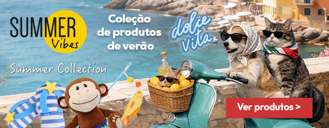Summer Vibes: Coleção de produtos de verão