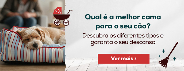 O que é preciso de saber antes de escolher uma cama para o meu cão
