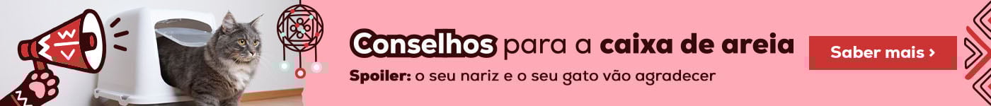 Truques felinos para uma super caixa de areia. Clique para ler Truques felinos para uma super caixa de areia. Clique para ler