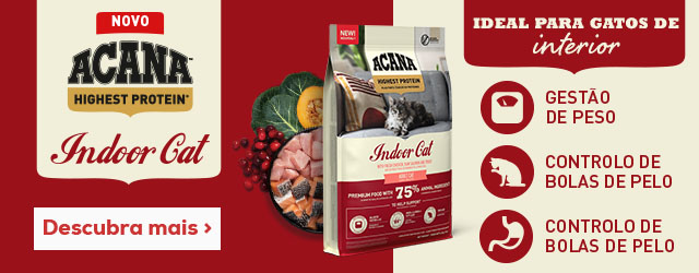 Lançamento exclusivo de ração Acana para gatinhos sem cereais Lançamento exclusivo de ração Acana para gatinhos sem cereais