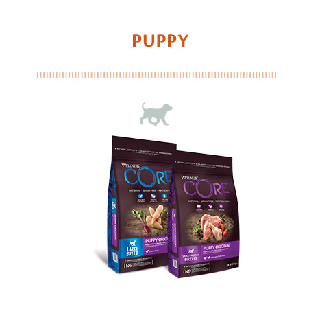 Alimento para cão junior da marca Wellness Core
