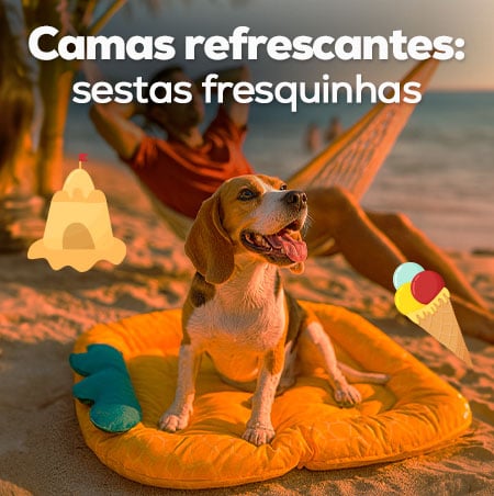 Camas refrescantes: Sestas bem fresquinhas