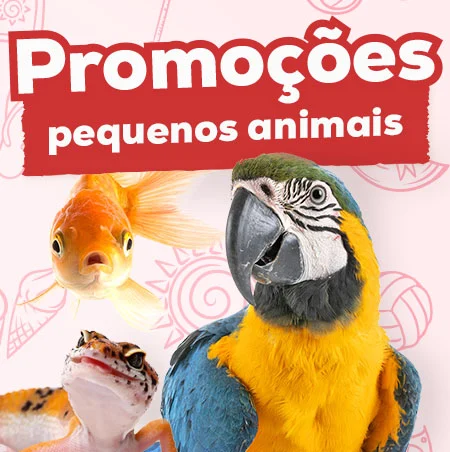 Promoções para pequenos animais