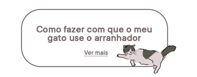 Conselhos para incentivar o seu gato a usar o arranhador.