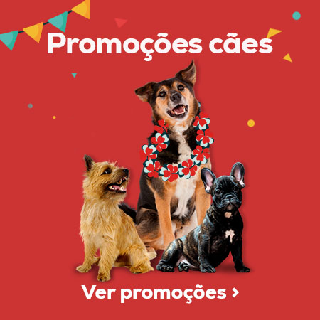 Promoções cães