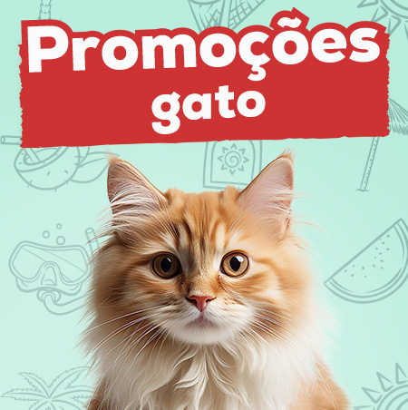 Promoções para gato