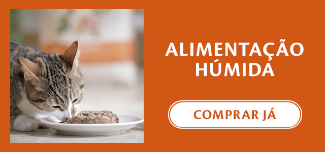 Alimentação húmida para gato da marca Wellness Core