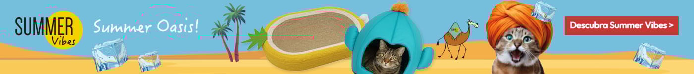 Summer Vibes: Os produtos mais frescos da nova coleção de verão para gato