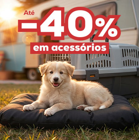 Prepare-se para as férias: Até -40% em acessórios para cão