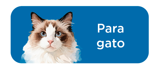 Criadores Científico: Gato