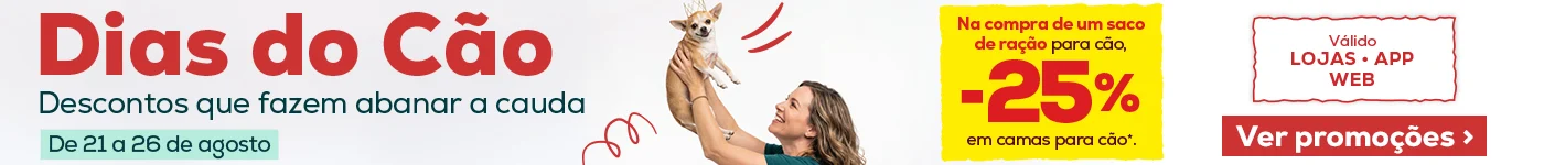 Dia do Cão